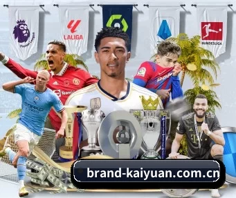 brand-kaiyuan.com.cn APP